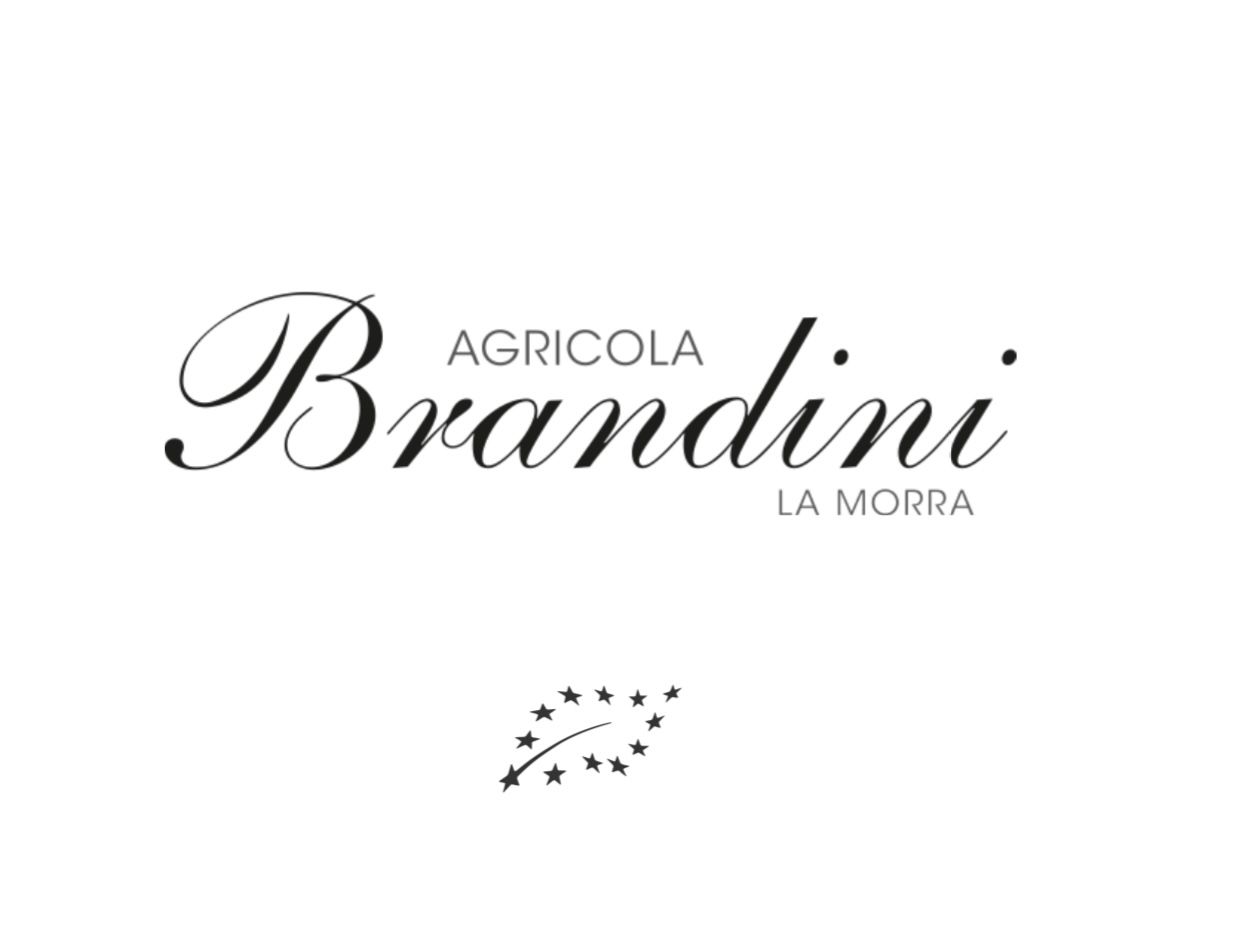Brandini Logo